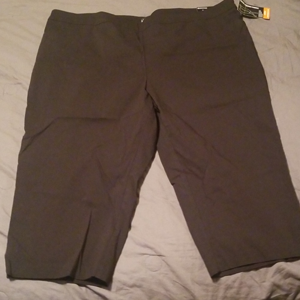 Crop womens dress pant